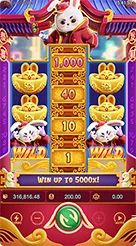 5rt · Fortune Rabbit